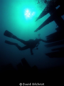 Diver Silhouette, Fathom Five National Marine Park, Tober... by David Gilchrist 